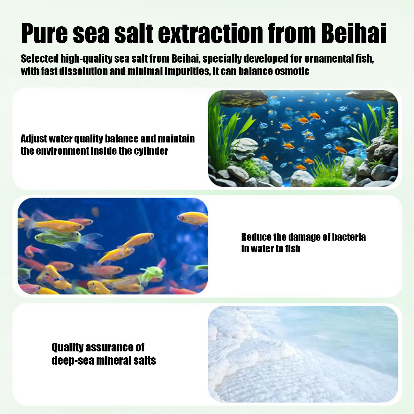 Visalgenverwijderaar Aquarium  - Betta Fish Tank recensie en prijs