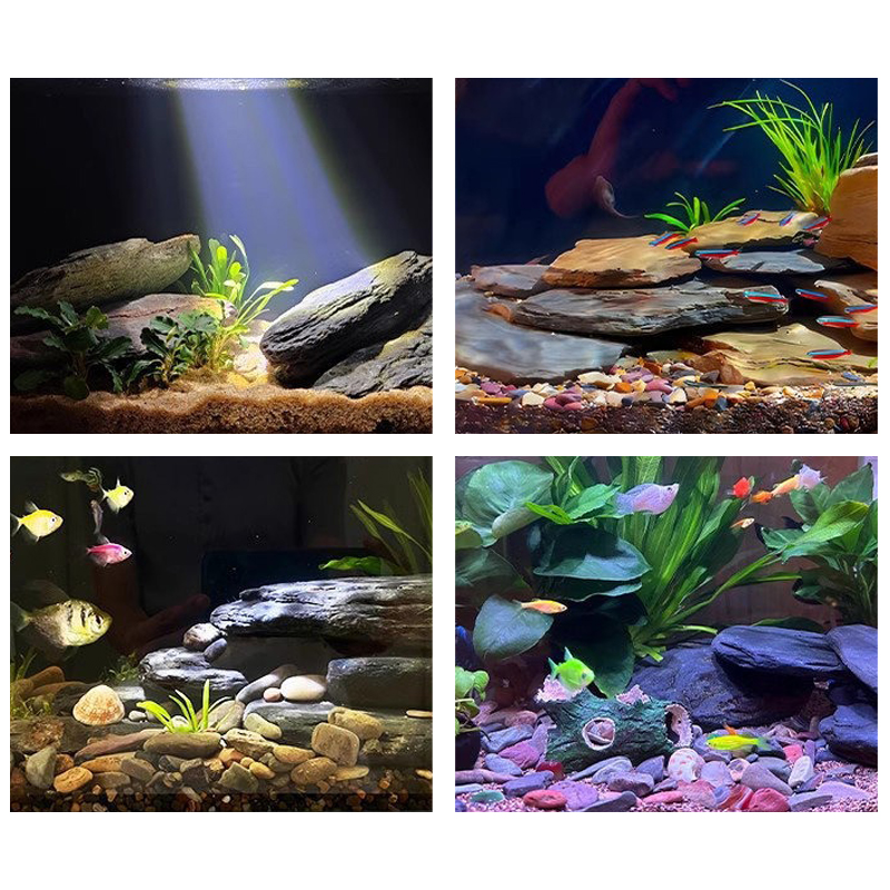 500/1000g Aquarium Landschap S - Fish Aquarium Home recensie en prijs