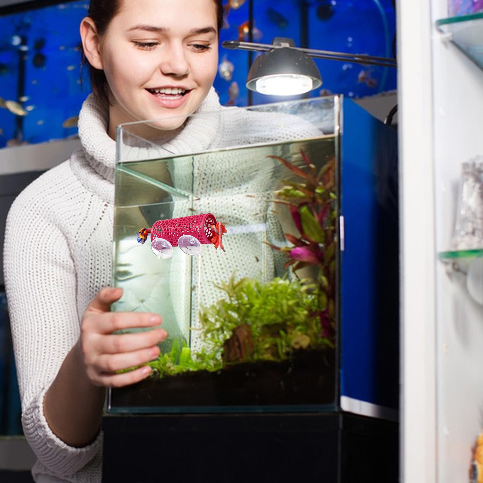 Betta Habitat Rustplaats Ornam - Aquarium Fish Betta recensie en prijs