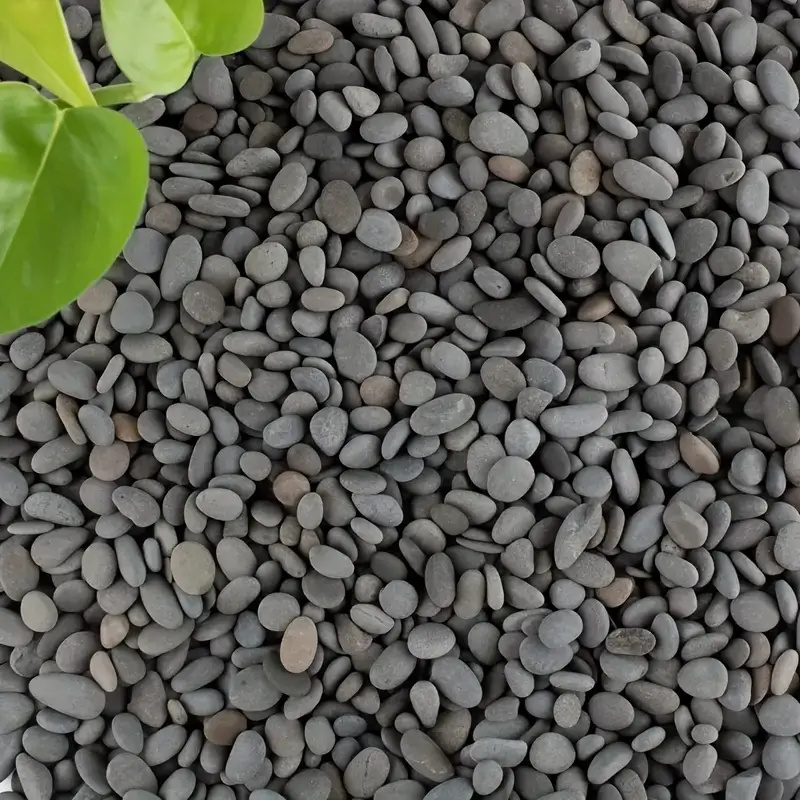 20 stuks natuurlijke rivier ro - Fish Tank Gravel recensie en prijs