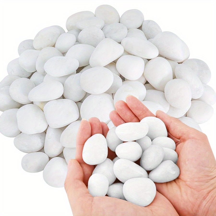 200/400g Witte Hooggepolijste  - Fish Aquarium Home recensie en prijs
