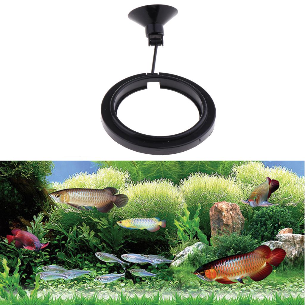 Vissenbakvoeder, drijvend voer - Aquarium Fish Keeping recensie en prijs