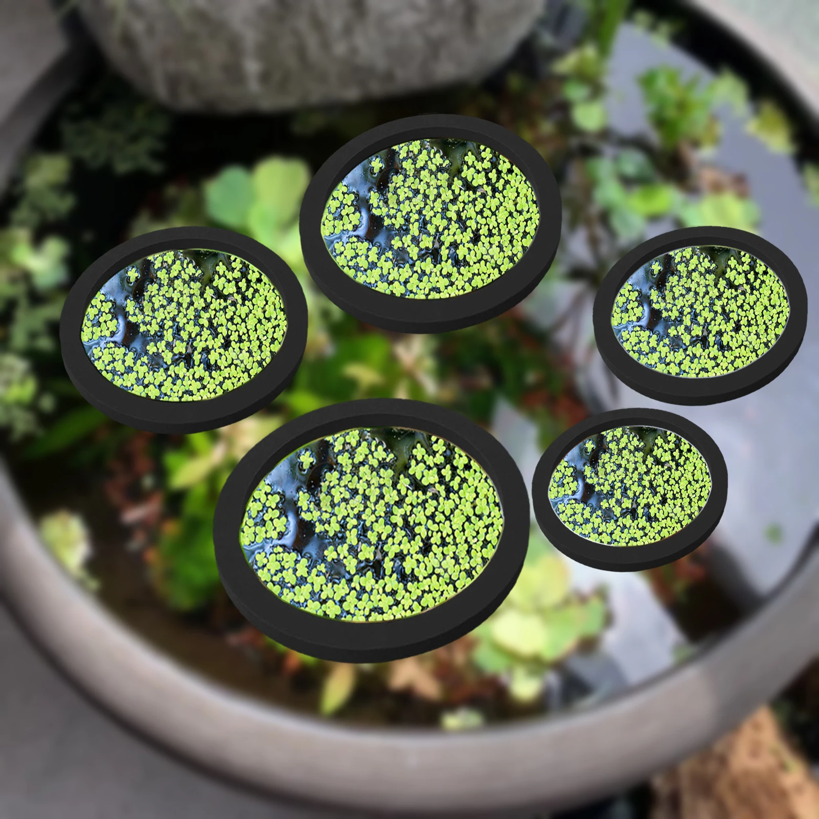 5 stks EVA Vis Voeden Ring Aqu - Fish Aquarium Home recensie en prijs
