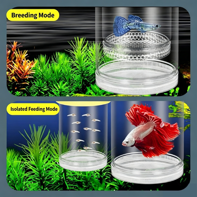 Transparante zwevende aquarium - Aquarium Fish Betta recensie en prijs