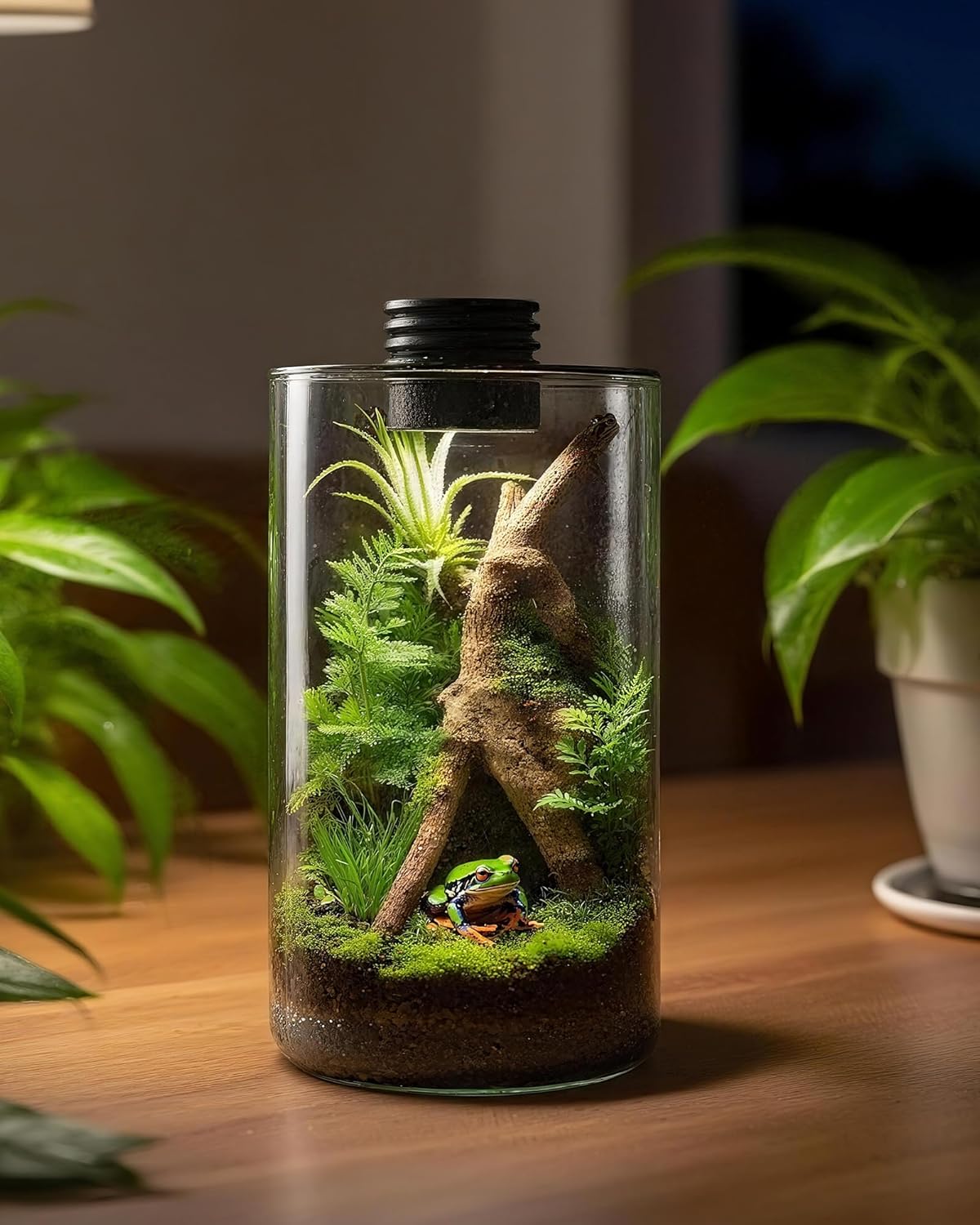 Glazen terrarium voor binnen m - Betta Fish Tank recensie en prijs