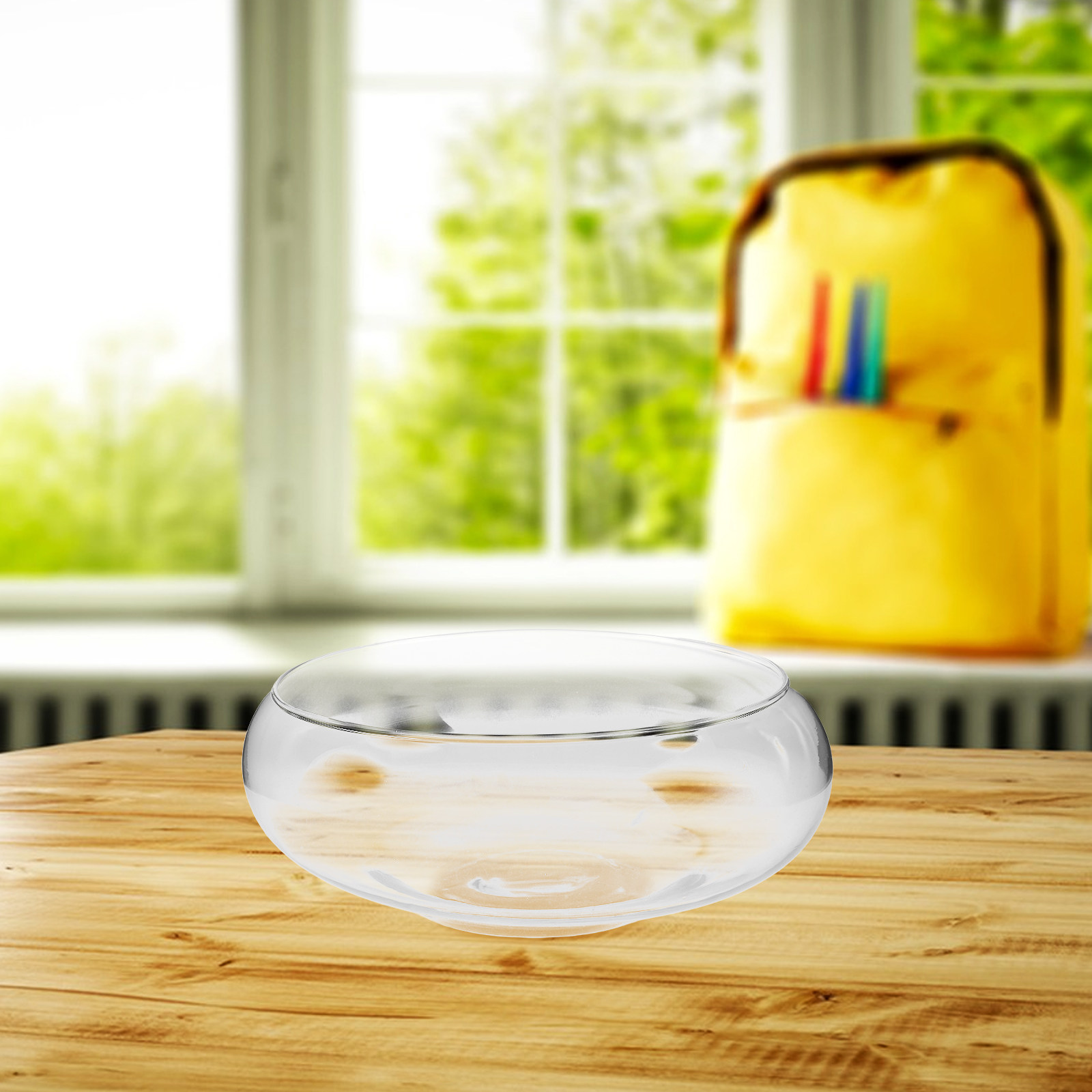 Glazen hydrocultuurplantenbak  - Aquarium Plants recensie en prijs